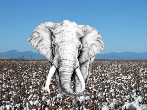 cotton elephant