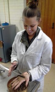 Gabby Joice hand texturing a clay loam in the UNE Soils lab