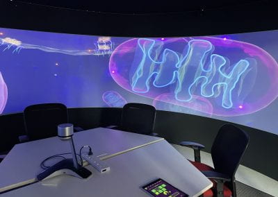 A small dark room with a table and chairs, with animated footage of cells displayed on a 360 degree surround screen.