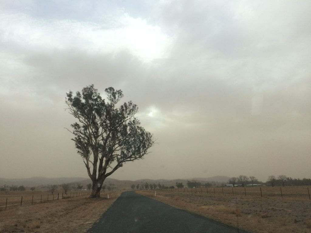A bitumen road snakes through a barren brown landscape with single tree to the left and a smoky haze in the sky