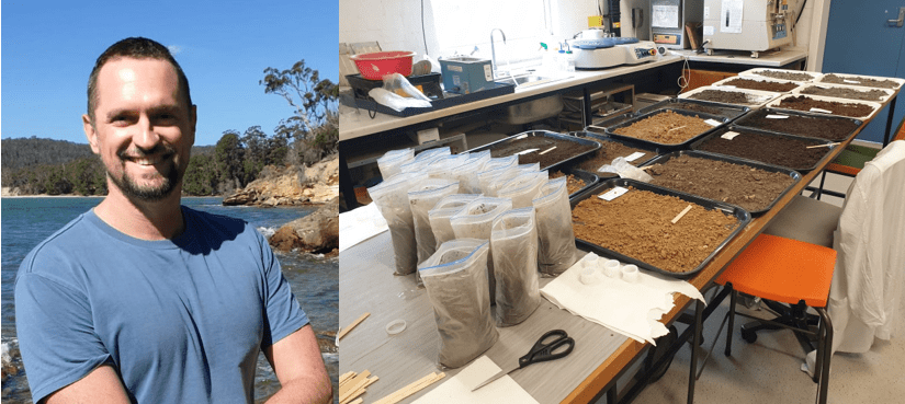 Dr Richard Tuffin in Tasmania, and soil samples from the Port Arthur convict workshops in plastic tubs in the UNE archaeology laboratory, ready for analysis.