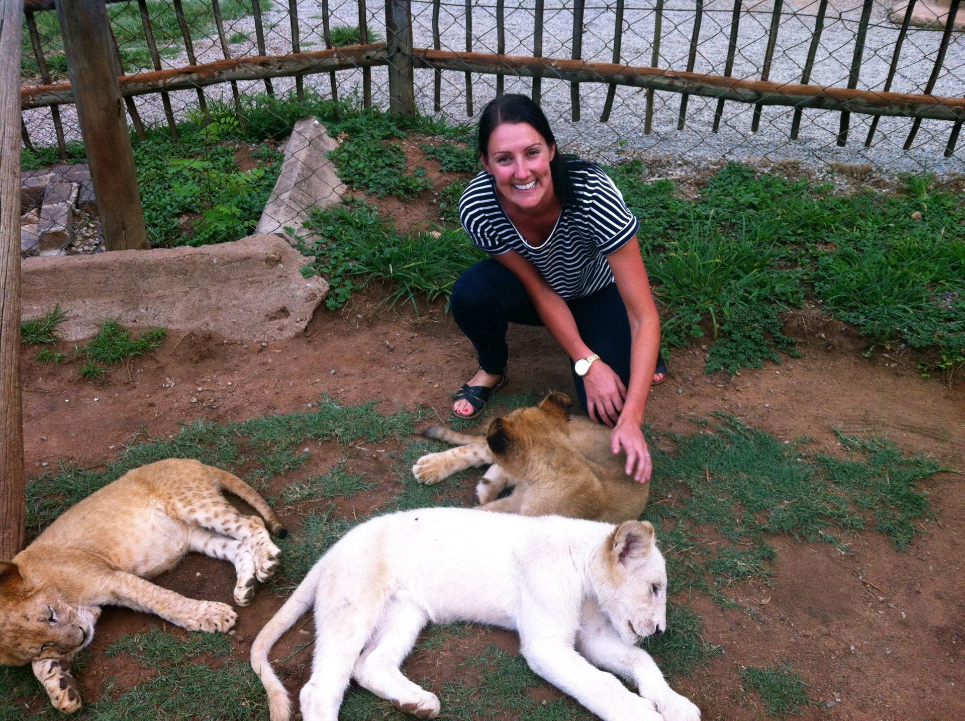 Erin meeting lions in South Africa