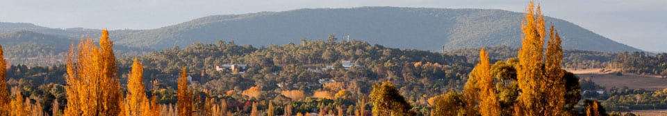 Monitoring community attitudes during refugee settlement in Armidale, NSW – report on survey 1