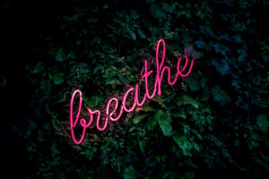 Neon sign saying breathe on leaf background