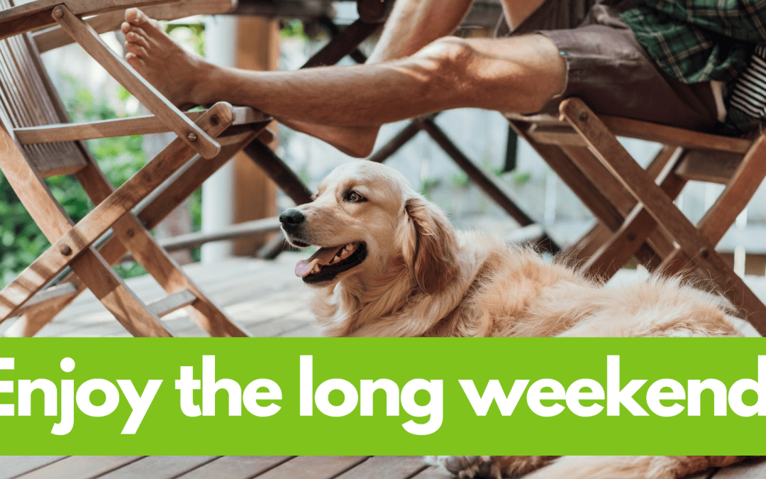 Golden retriever sitting beside a man stretched across two wooden outdoor chairs. White text on green banner at bottom reads 'Enjoy the long weekend!'