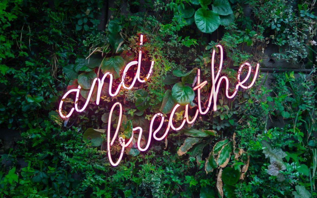 pink neon writing states "and breathe" against a background of leafy green foliage.