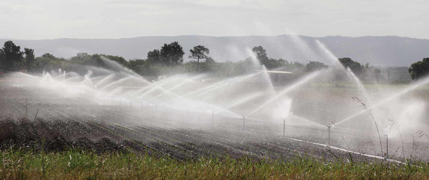 Irrigation pipes spraying water across a pasture.