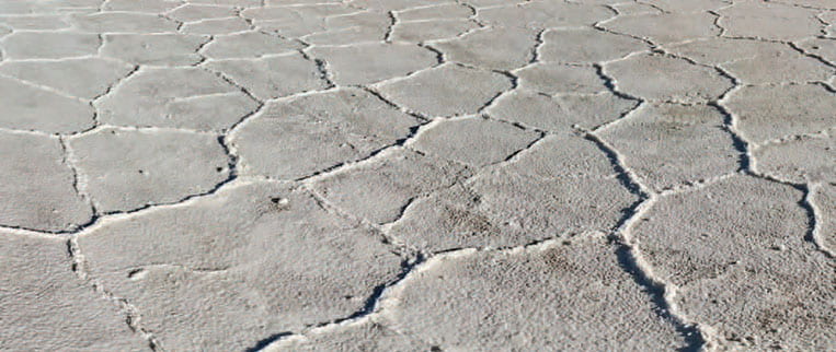 Close up of a dry lake with cracked soil.